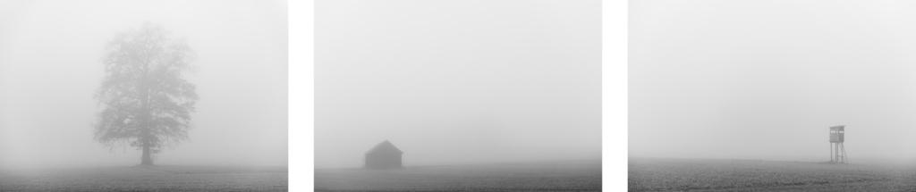 Trilogie – In the Fog