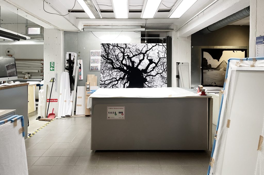 Blick in das Kontrastlabor Köln: Fine-Art-Prints und eine großformatige Baumfotografie im Atelier