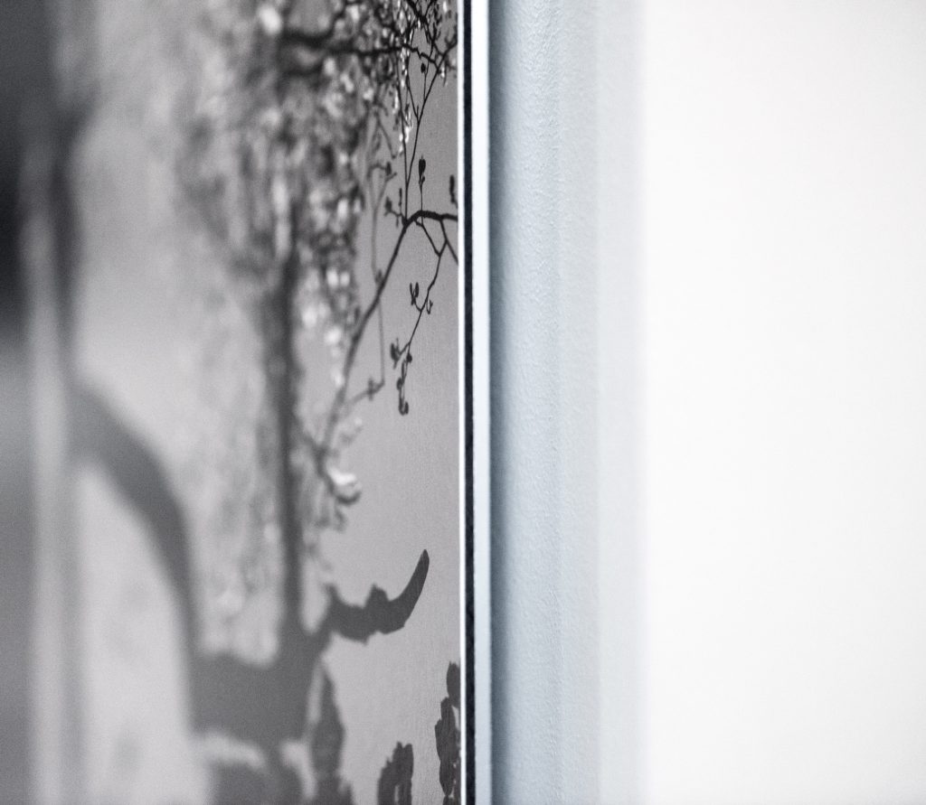 Detail der Kante eines auf 3 mm Alu-Dibond kaschierten Fine-Art-Prints, ohne Rahmen und ohne Plexiglas